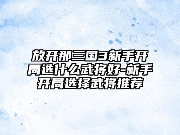 放开那三国3新手开局选什么武将好-新手开局选择武将推荐