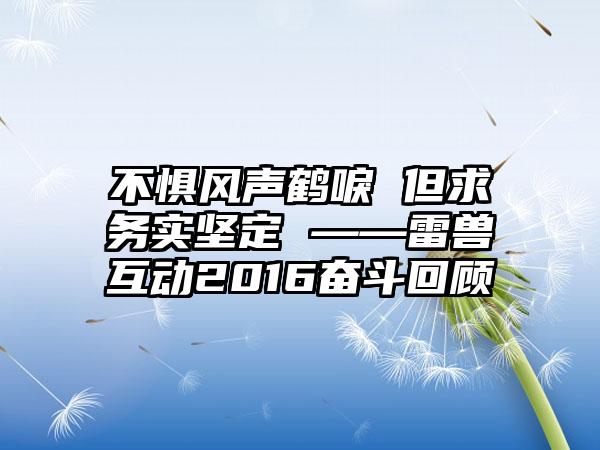 不惧风声鹤唳 但求务实坚定 ——雷兽互动2016奋斗回顾