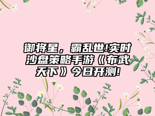 御将星，霸乱世!实时沙盘策略手游《布武天下》今日开测!