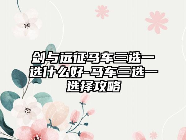 剑与远征马车三选一选什么好-马车三选一选择攻略
