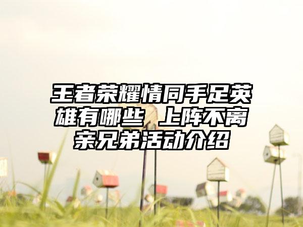 王者荣耀情同手足英雄有哪些 上阵不离亲兄弟活动介绍