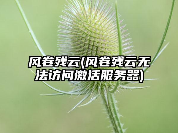 风卷残云(风卷残云无法访问激活服务器)