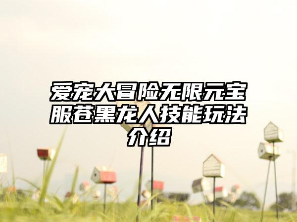 爱宠大冒险无限元宝服苍黑龙人技能玩法介绍