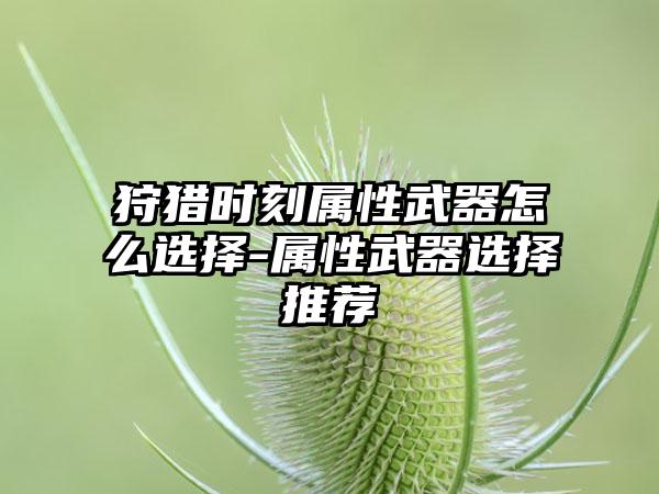 狩猎时刻属性武器怎么选择-属性武器选择推荐