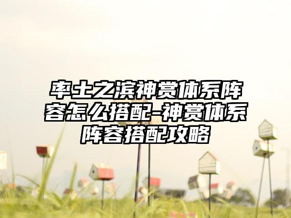 率土之滨神赏体系阵容怎么搭配-神赏体系阵容搭配攻略