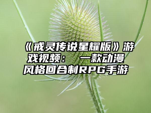 《戒灵传说星耀版》游戏视频： 一款动漫风格回合制RPG手游