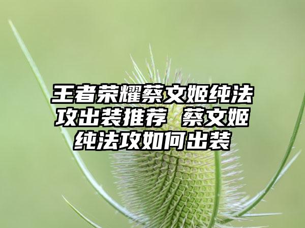 王者荣耀蔡文姬纯法攻出装推荐 蔡文姬纯法攻如何出装