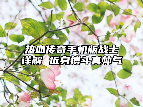 热血传奇手机版战士详解 近身搏斗真帅气