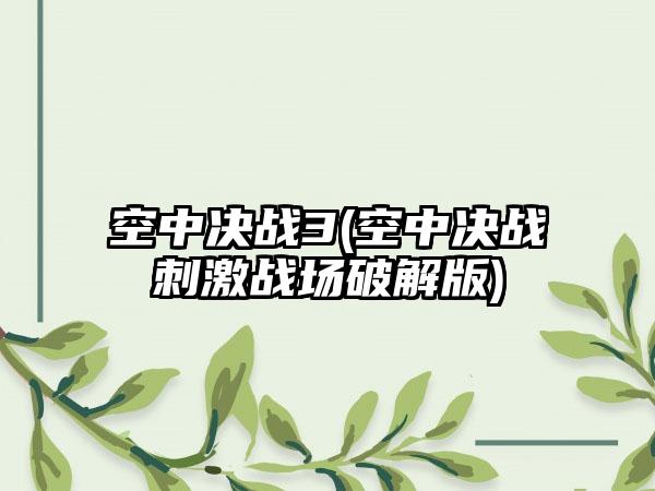 空中决战3(空中决战刺激战场破解版)