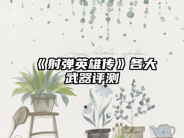 《射弹英雄传》各大武器评测