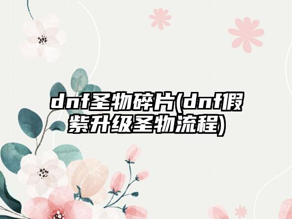 dnf圣物碎片(dnf假紫升级圣物流程)