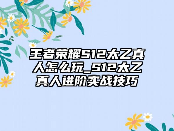 王者荣耀S12太乙真人怎么玩_S12太乙真人进阶实战技巧
