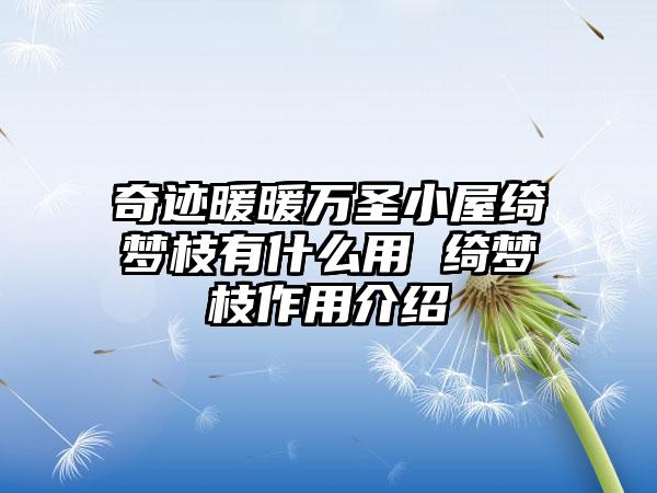 奇迹暖暖万圣小屋绮梦枝有什么用 绮梦枝作用介绍