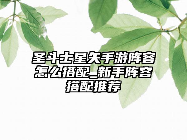 圣斗士星矢手游阵容怎么搭配_新手阵容搭配推荐