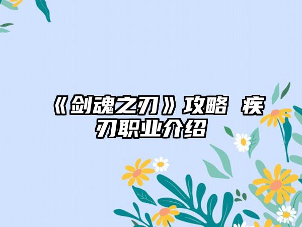 《剑魂之刃》攻略 疾刃职业介绍