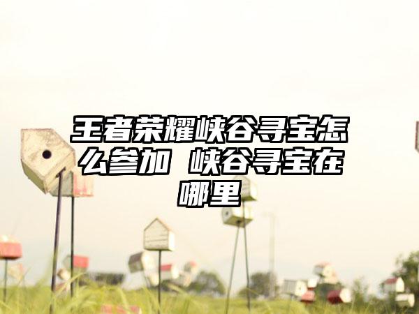 王者荣耀峡谷寻宝怎么参加 峡谷寻宝在哪里