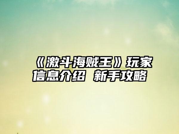 《激斗海贼王》玩家信息介绍 新手攻略