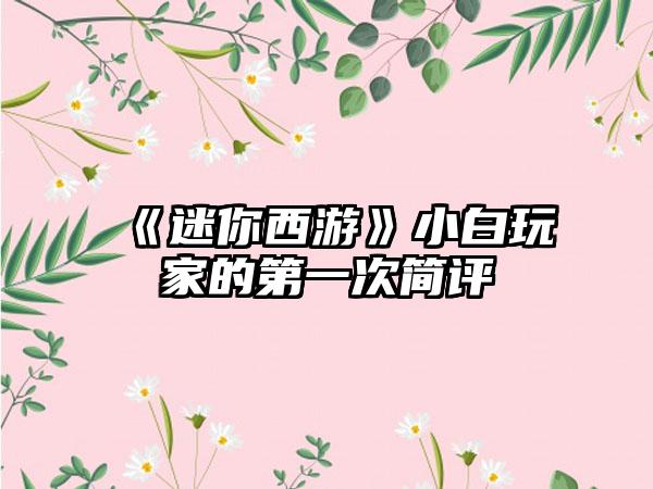 《迷你西游》小白玩家的第一次简评