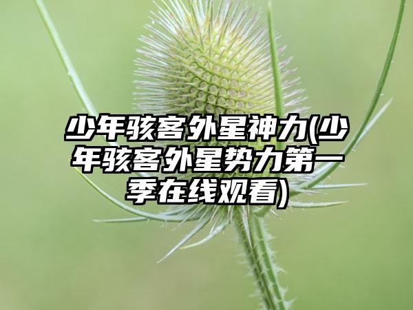 少年骇客外星神力(少年骇客外星势力第一季在线观看)