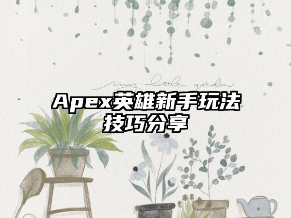 Apex英雄新手玩法技巧分享