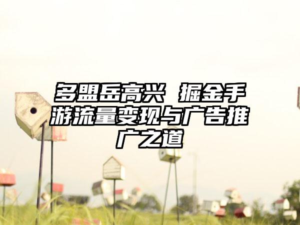 多盟岳高兴 掘金手游流量变现与广告推广之道