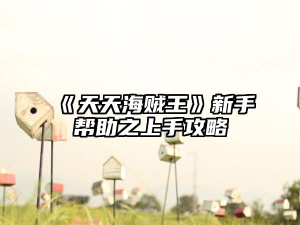 《天天海贼王》新手帮助之上手攻略