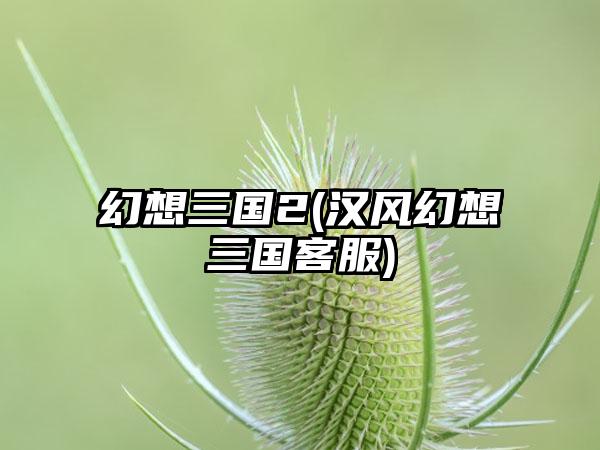 幻想三国2(汉风幻想三国客服)