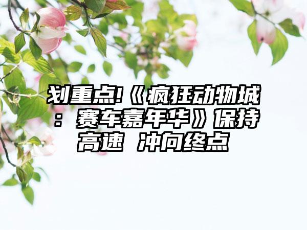 划重点!《疯狂动物城：赛车嘉年华》保持高速 冲向终点