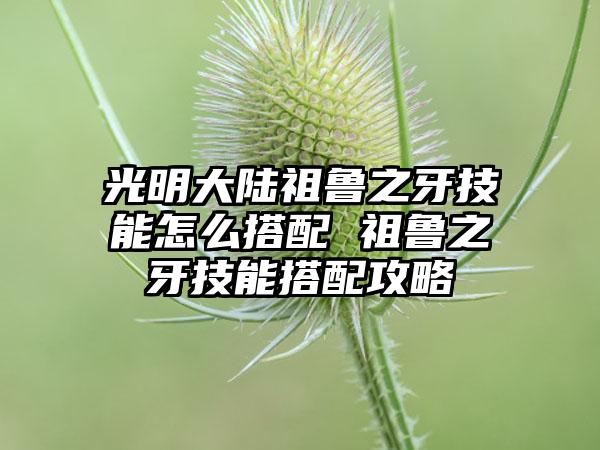 光明大陆祖鲁之牙技能怎么搭配 祖鲁之牙技能搭配攻略