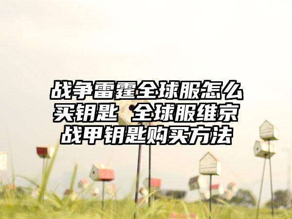 战争雷霆全球服怎么买钥匙 全球服维京战甲钥匙购买方法