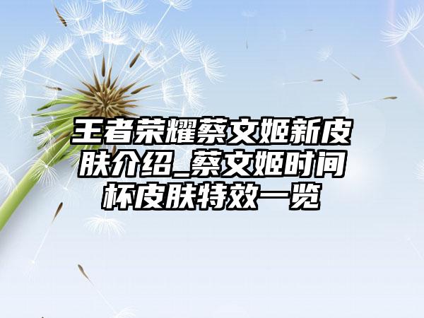 王者荣耀蔡文姬新皮肤介绍_蔡文姬时间杯皮肤特效一览