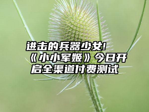 进击的兵器少女! 《小小军姬》今日开启全渠道付费测试