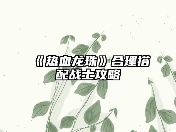 《热血龙珠》合理搭配战士攻略
