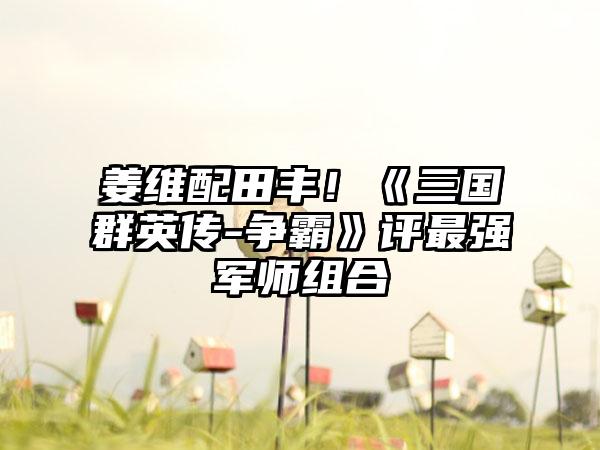 姜维配田丰！《三国群英传-争霸》评最强军师组合