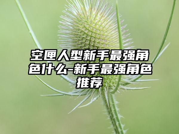 空匣人型新手最强角色什么-新手最强角色推荐