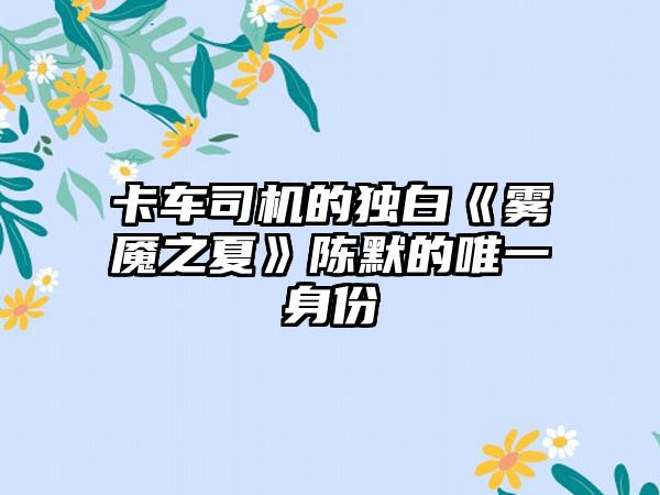 卡车司机的独白《雾魇之夏》陈默的唯一身份