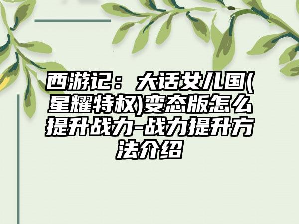 西游记：大话女儿国(星耀特权)变态版怎么提升战力-战力提升方法介绍