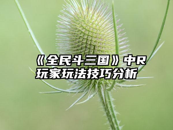 《全民斗三国》中R玩家玩法技巧分析