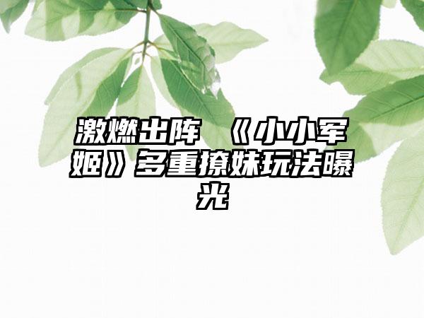激燃出阵 《小小军姬》多重撩妹玩法曝光