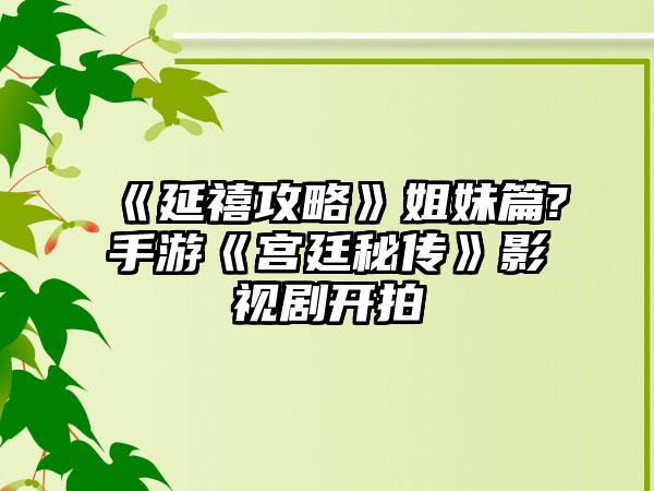 《延禧攻略》姐妹篇?手游《宫廷秘传》影视剧开拍