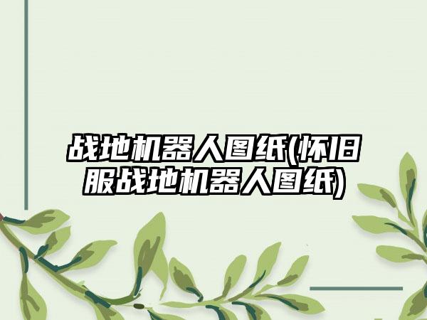 战地机器人图纸(怀旧服战地机器人图纸)
