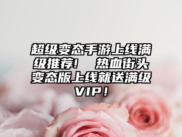 超级变态手游上线满级推荐!  热血街头变态版上线就送满级VIP！