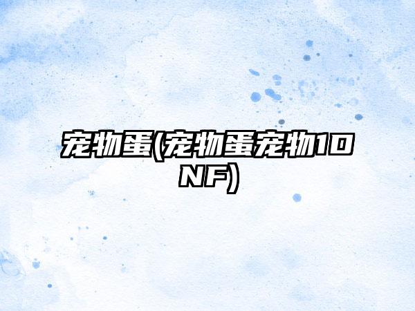 宠物蛋(宠物蛋宠物1DNF)