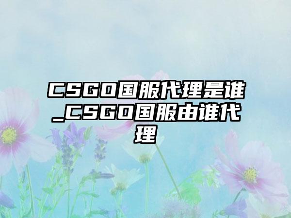 CSGO国服代理是谁_CSGO国服由谁代理