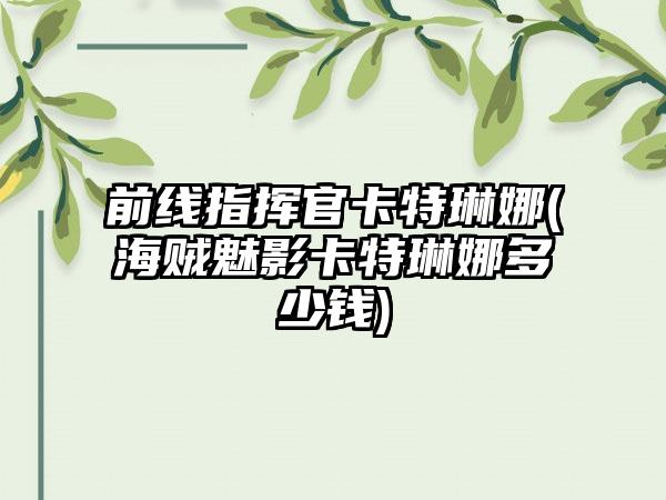 前线指挥官卡特琳娜(海贼魅影卡特琳娜多少钱)