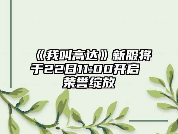 《我叫高达》新服将于22日11:00开启 荣誉绽放