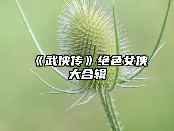 《武侠传》绝色女侠大合辑