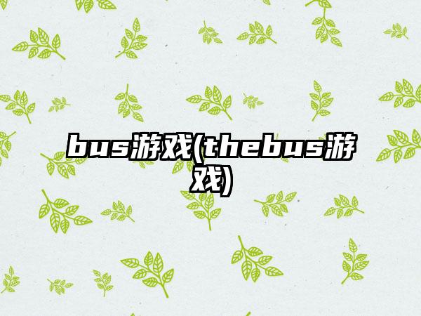 bus游戏(thebus游戏)
