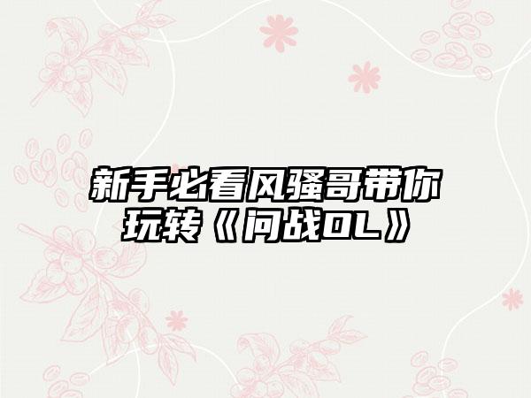 新手必看风骚哥带你玩转《问战OL》