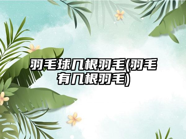 羽毛球几根羽毛(羽毛有几根羽毛)